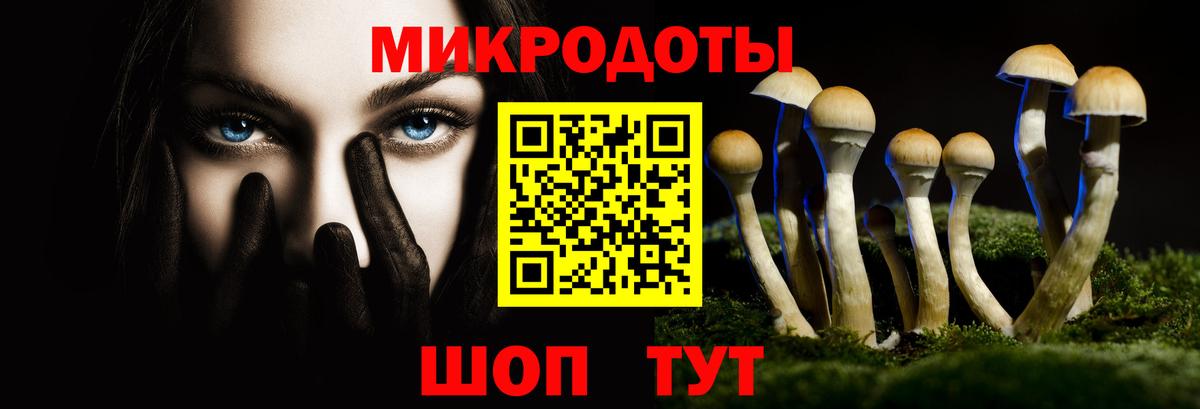 Галлюциногенные грибы прущие грибы Заволжье